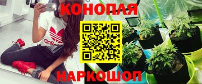 прущая мука Мариинск