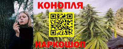 spice Малгобек