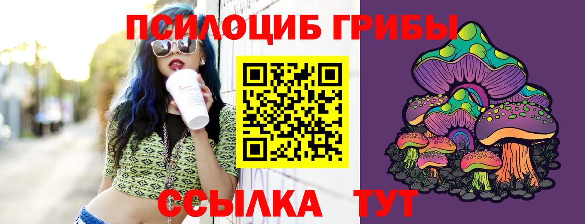 Галлюциногенные грибы GOLDEN TEACHER  Вход с VPN  Северобайкальск  где купить наркотик  Псилоцибиновые грибы GOLDEN TEACHER 
